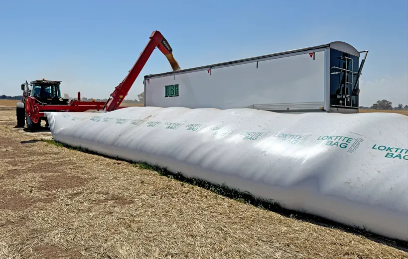 A tractor emptying a silobag to a truck