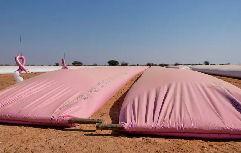 Pink silobags in South Africa
